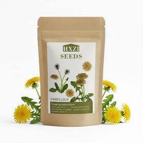 KCT GARDEN dandelion seeds bulk pack ready for planting.
