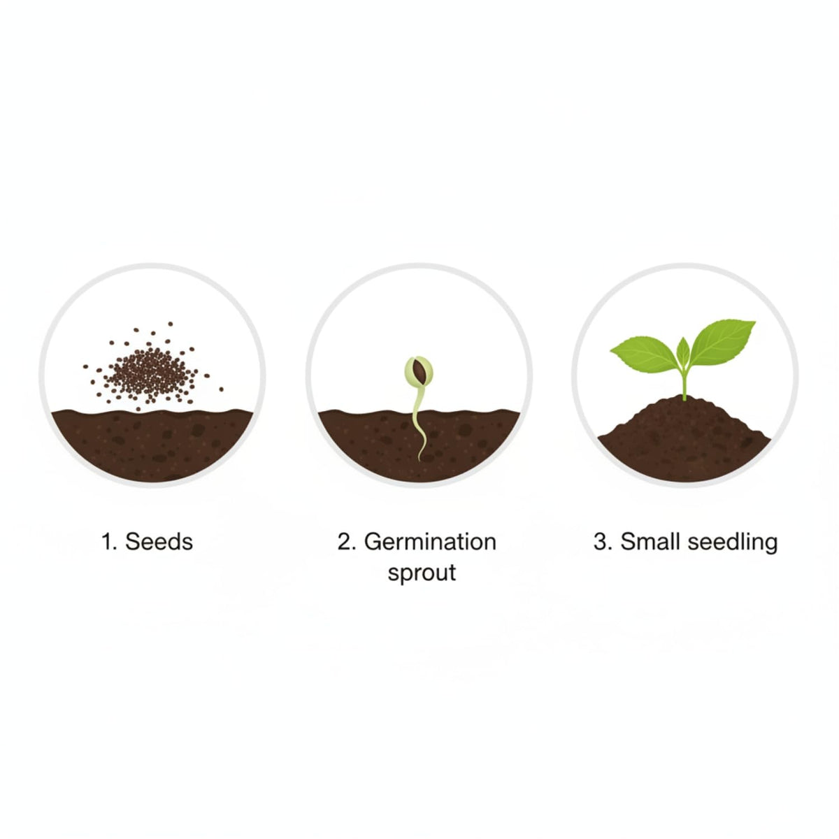 KCT GARDEN Hydrangea seeds come in a 1.76-ounce pack for ample planting