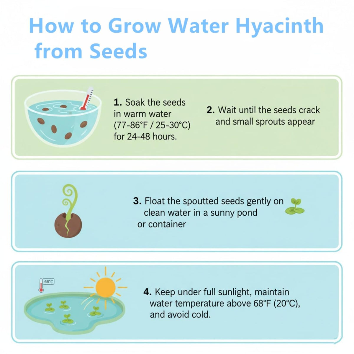 KCT GARDEN water hyacinth natural filtration supports pond balance