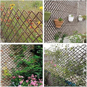 Kechery Nature Willow Trellis decor-friendly option for LED light displays.