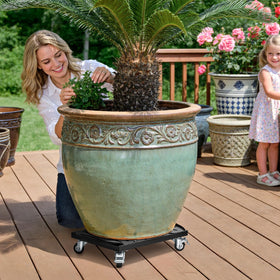 Easily reposition plants to optimize sunlight across rooms and patios.