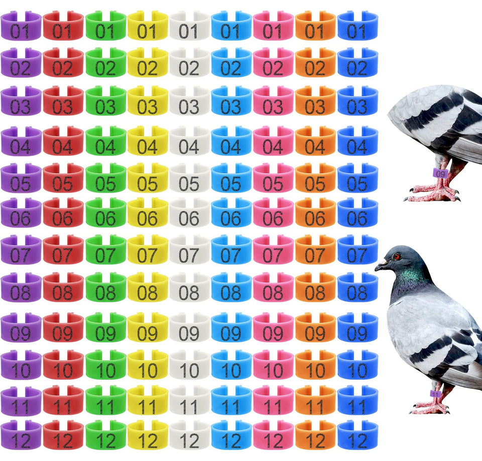 Keedolla 108-piece leg rings shown on a table for easy flock identification