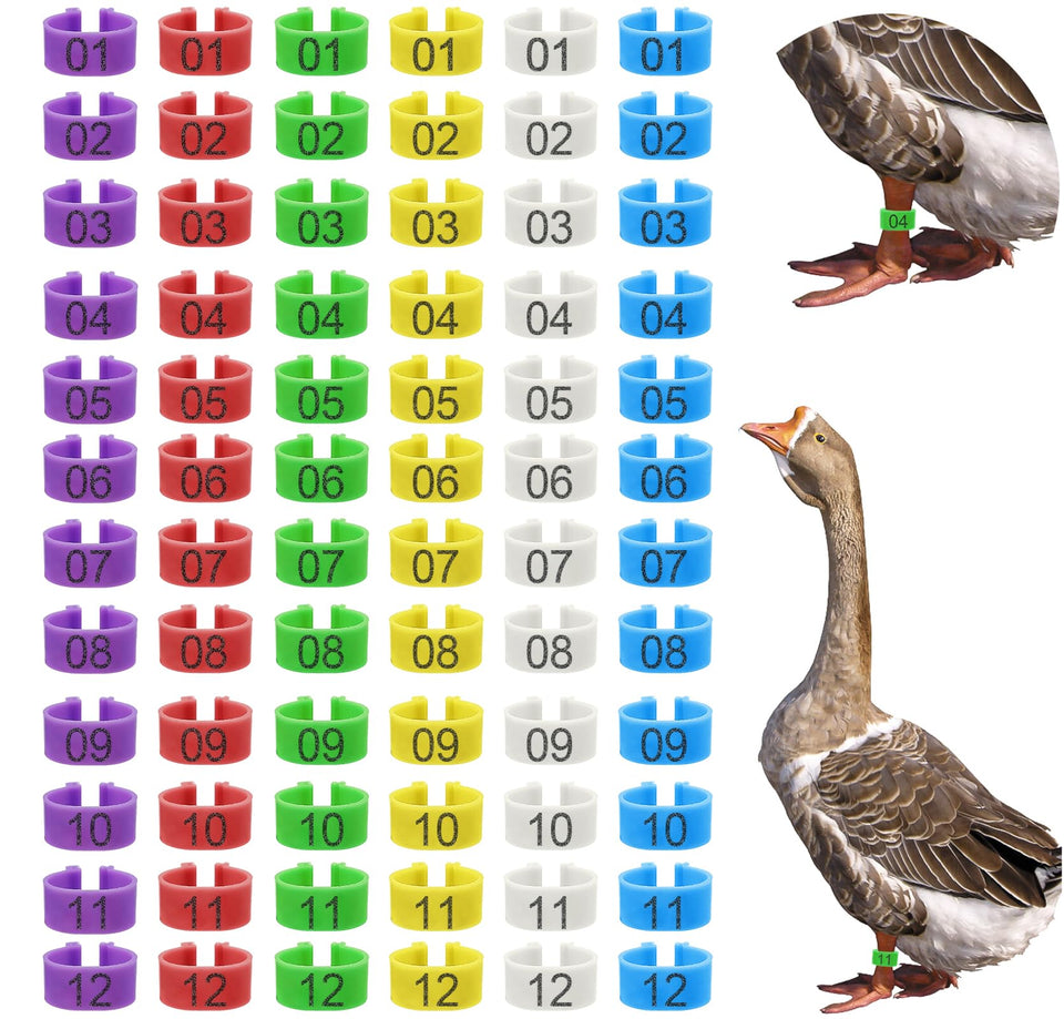 Keedolla leg bands for ducks in vibrant colors with numbered IDs for quick tracking.