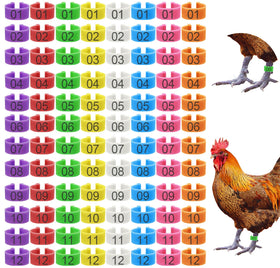 Keedolla 8-color chicken leg rings in package for easy flock tagging.