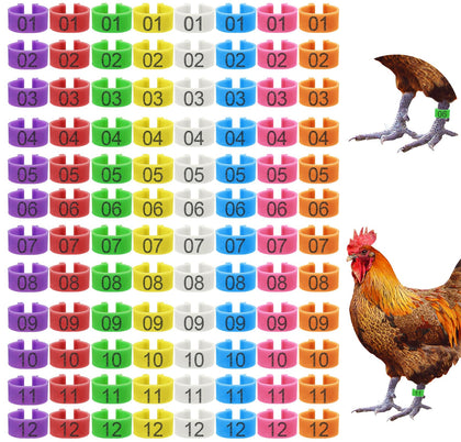 Keedolla 8-color chicken leg rings in package for easy flock tagging.