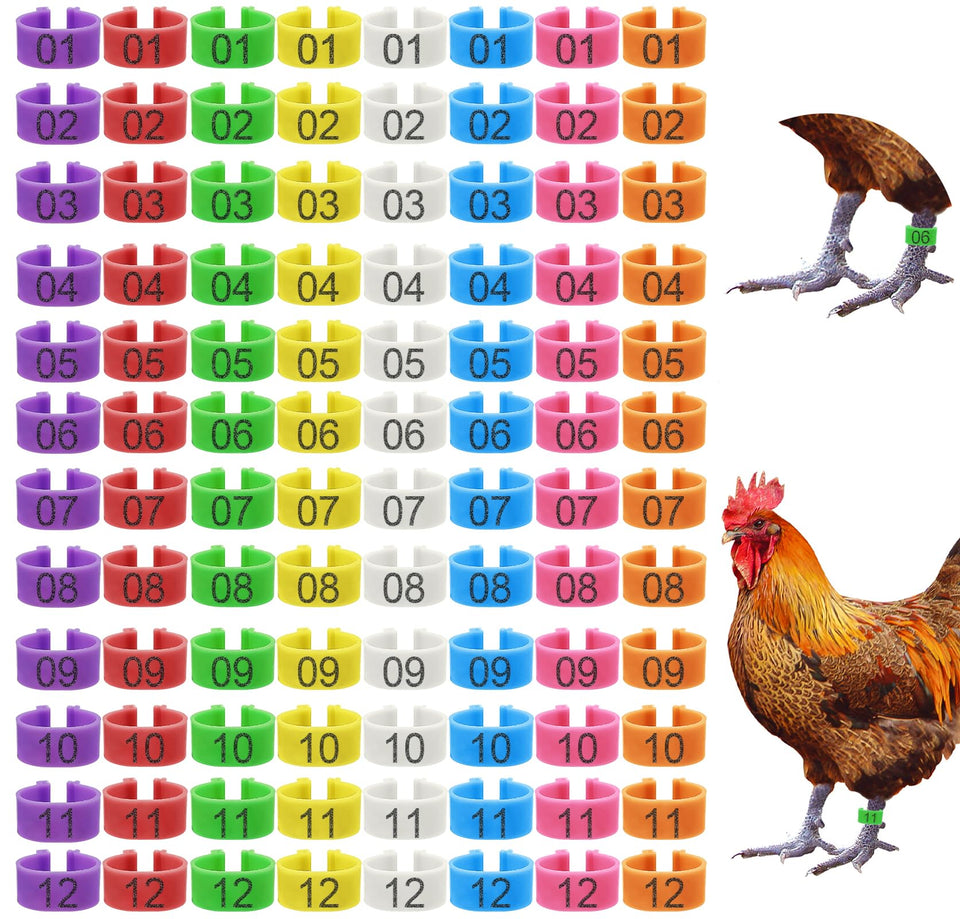 Keedolla 8-color chicken leg rings in package for easy flock tagging.