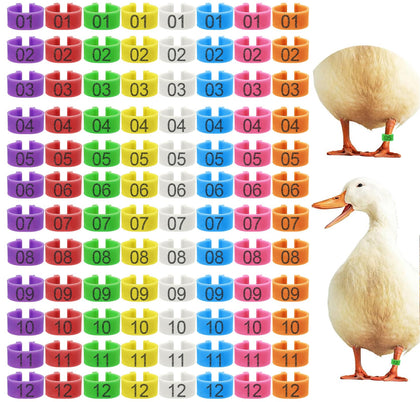Keedolla duck leg bands close-up showing 20mm size for easy identification