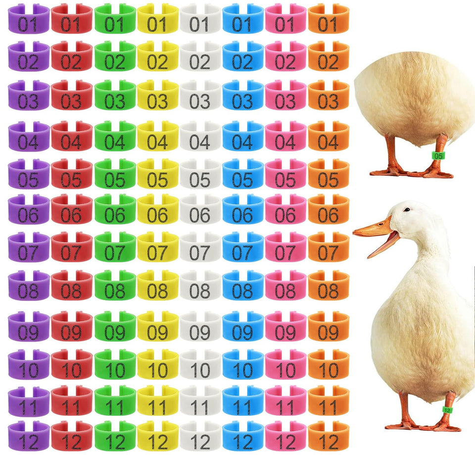 Keedolla duck leg bands close-up showing 20mm size for easy identification