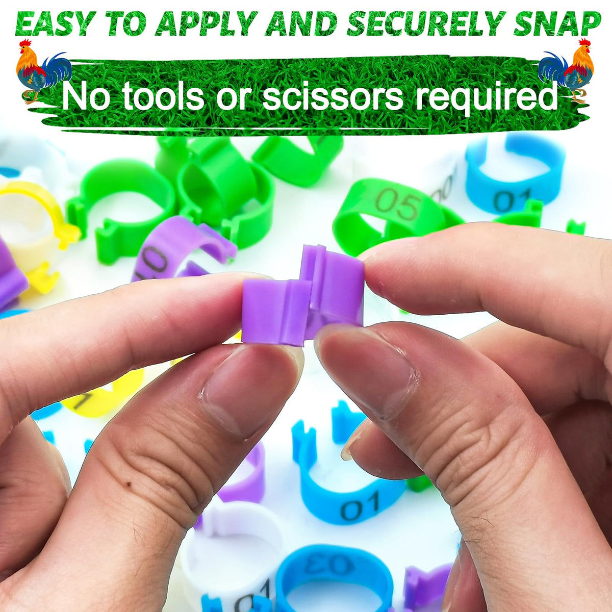 Keedolla numbered bands 01-12 with laser engraving on poultry rings.