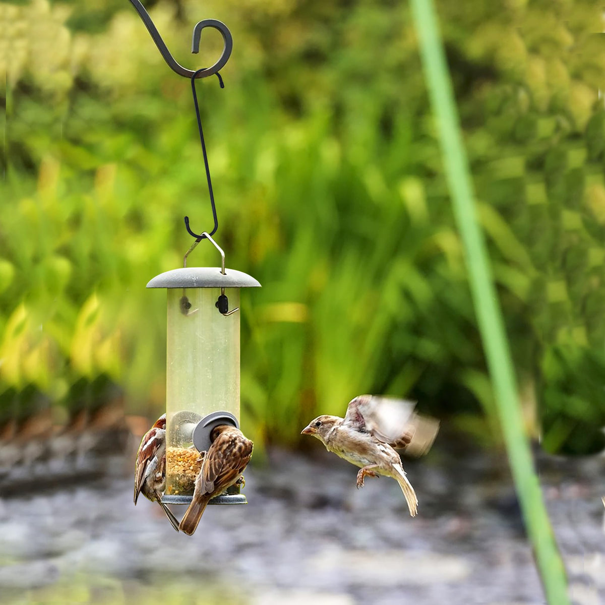 KEEPFFYE outdoor hook supporting a bird feeder on a railing.