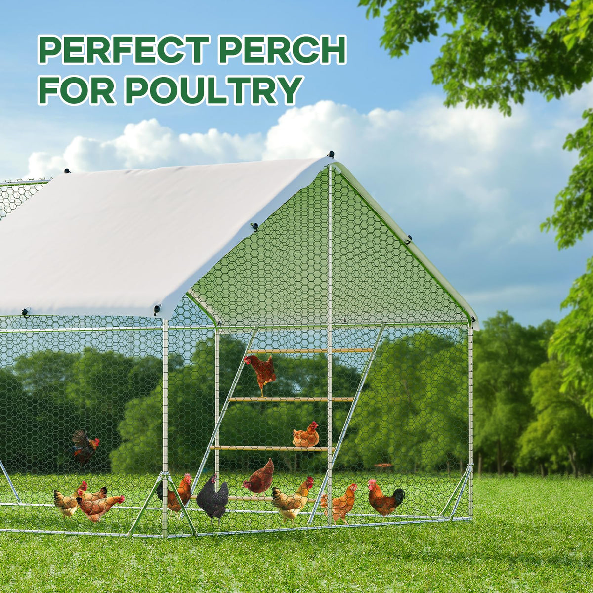 Kejector 56-inch roosting bars fit large backyard coops and farms