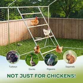 Kejector chicken toys and roosts create a playful, active coop