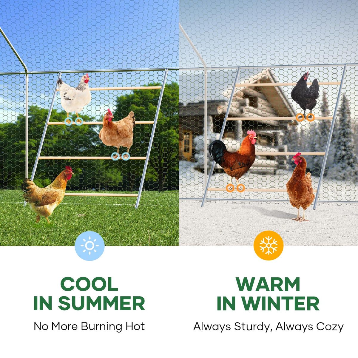 Kejector easy-assembly roosting bars simplify coop setup and cleaning