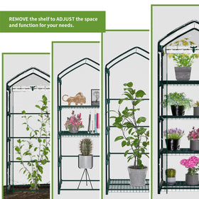 Tool-free assembly shown for the Kelived Mini Greenhouse setup
