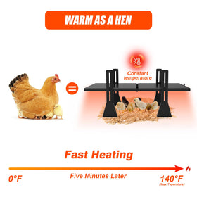 Keltne brooder heater adjustable height and angle for optimal warmth.