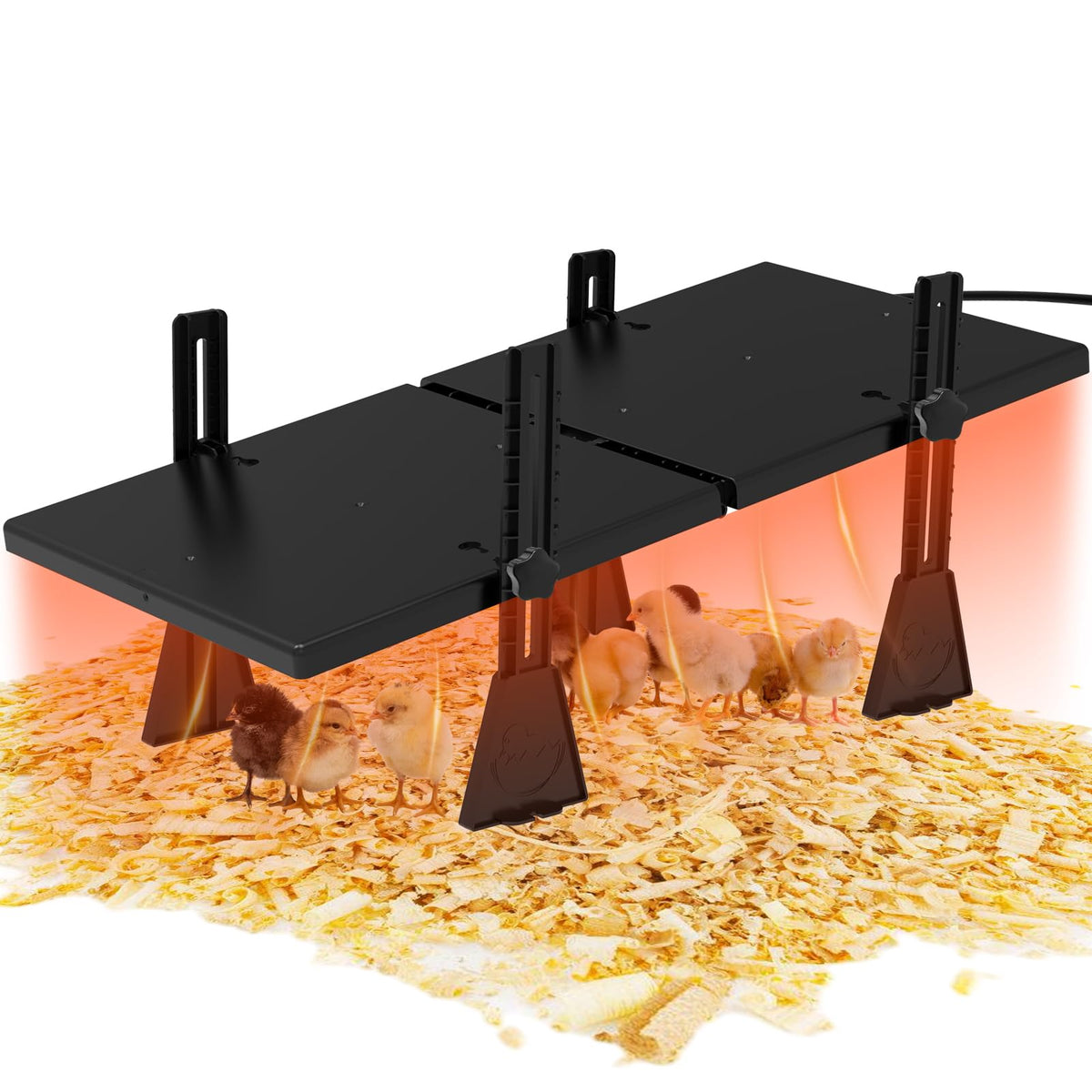Keltne dual-plates brooder heater setup delivers ample warmth for newborn chicks.