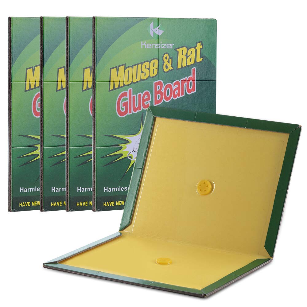 Kensizer 12-pack mouse glue trap close-up highlighting strong adhesive for high capture potential.