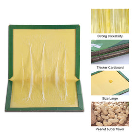 Kensizer extra-strong adhesive glue pad close-up showing even stickiness for reliable catches.