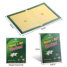 Kensizer large glue trap surface demonstrates wide catching area for mice and rats.