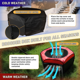Kerty Upgrade Chick Starter Kit chick feeder keeps food clean and accessible for a small flock.