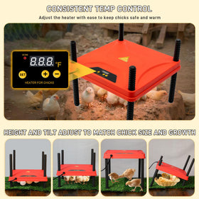Kerty Upgrade Chick Starter Kit chick perch supports natural roosting and leg strength.