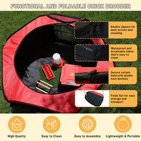 Kerty Upgrade Chick Starter Kit top cover helps shield chicks from drafts indoors.