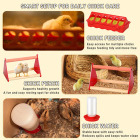 Kerty Upgrade Chick Starter Kit chick waterer provides safe drinking with minimal spills.