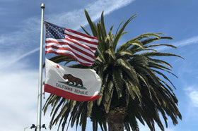 Kesysova heavy-duty 3x5 flag promises long-lasting outdoor performance.