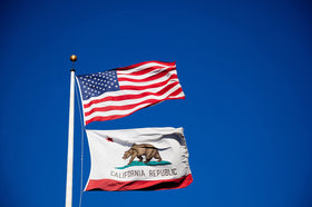 Kesysova 3x5 flag is suitable for windows, walls, poles, cars, or trucks.