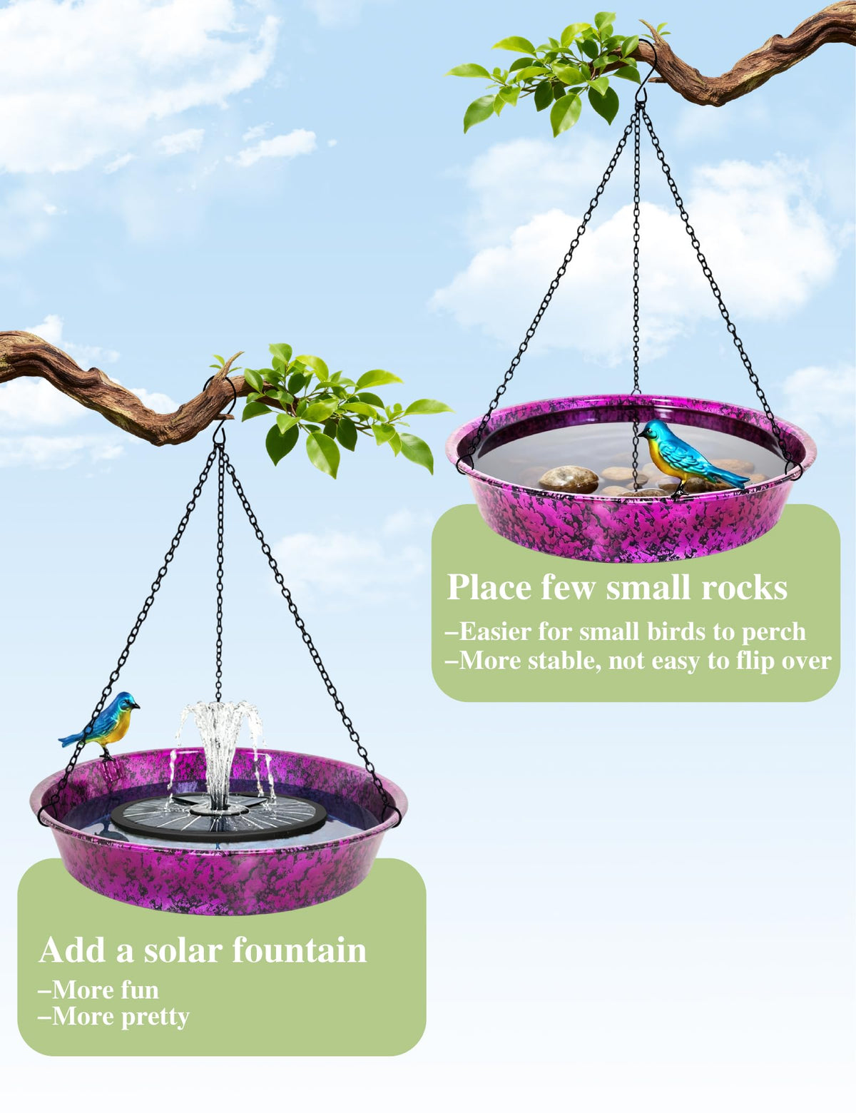 Keygift Seed-dish option for feeding visiting birds in the yard.