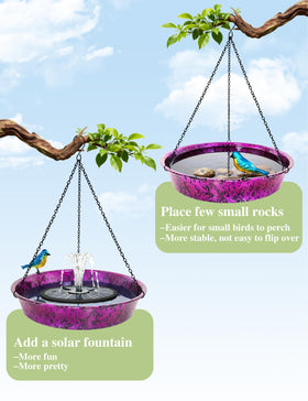 Keygift Seed-dish option for feeding visiting birds in the yard.