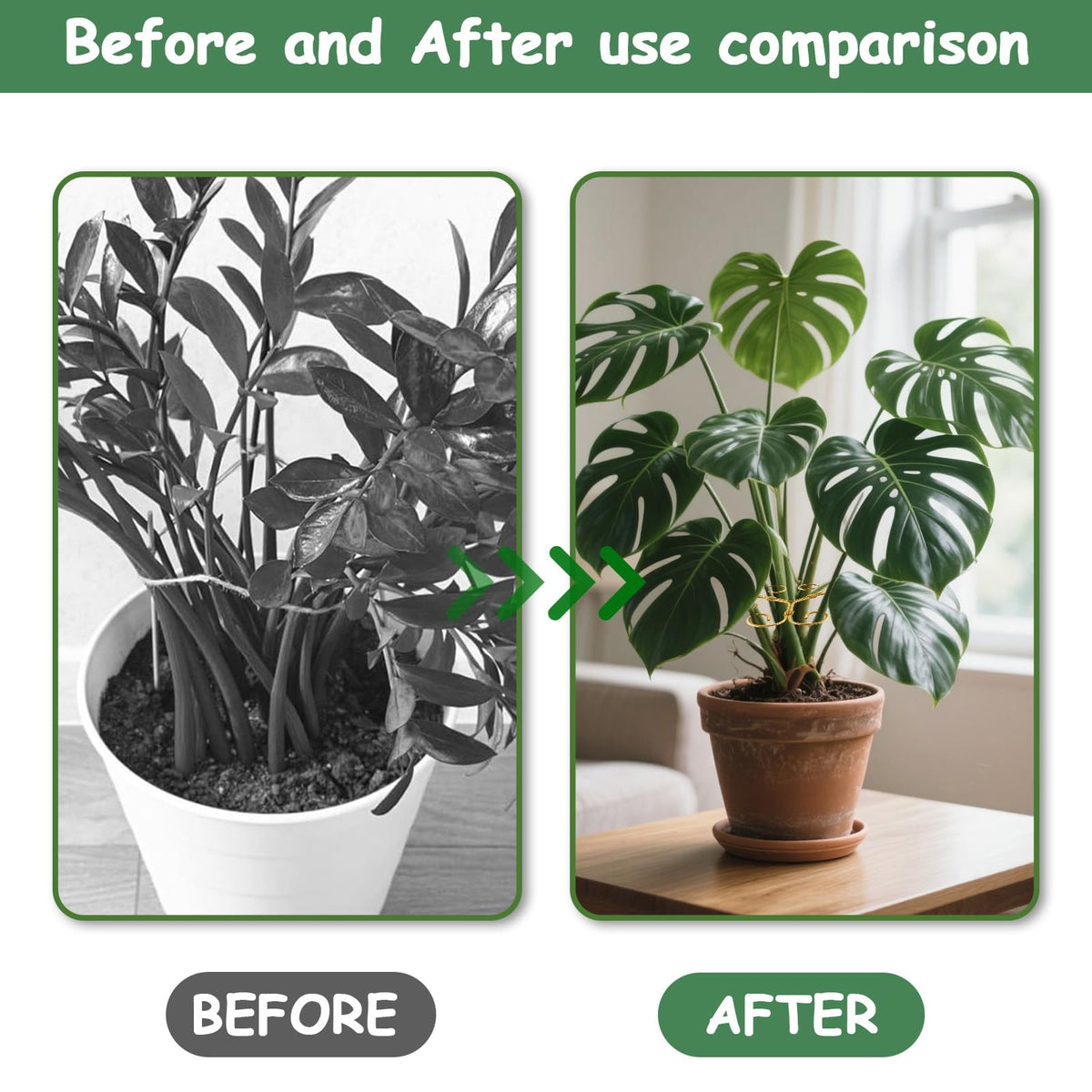 Kezzfpa closeup clamp keeps stems secure without harming leaves.