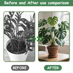 Kezzfpa closeup clamp keeps stems secure without harming leaves.