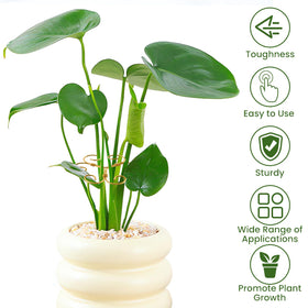 Kezzfpa leaf-design monstera stake guides plant vines with elegant support.