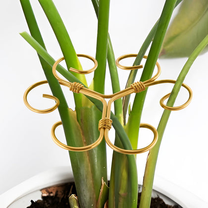 Kezzfpa iron monstera stem support set clips vines for stable indoor growth.