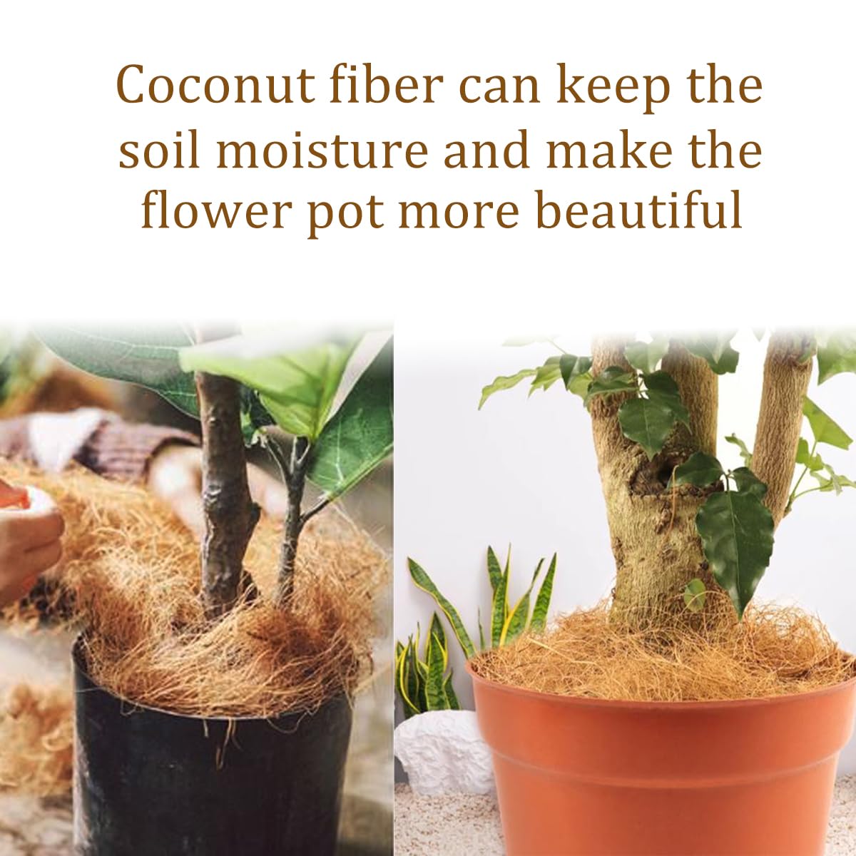 Natural, clean coconut fiber material for plant care