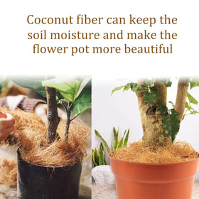 Natural, clean coconut fiber material for plant care