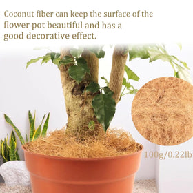 100-gram pack of KFAREJGOAE coconut fiber mulch