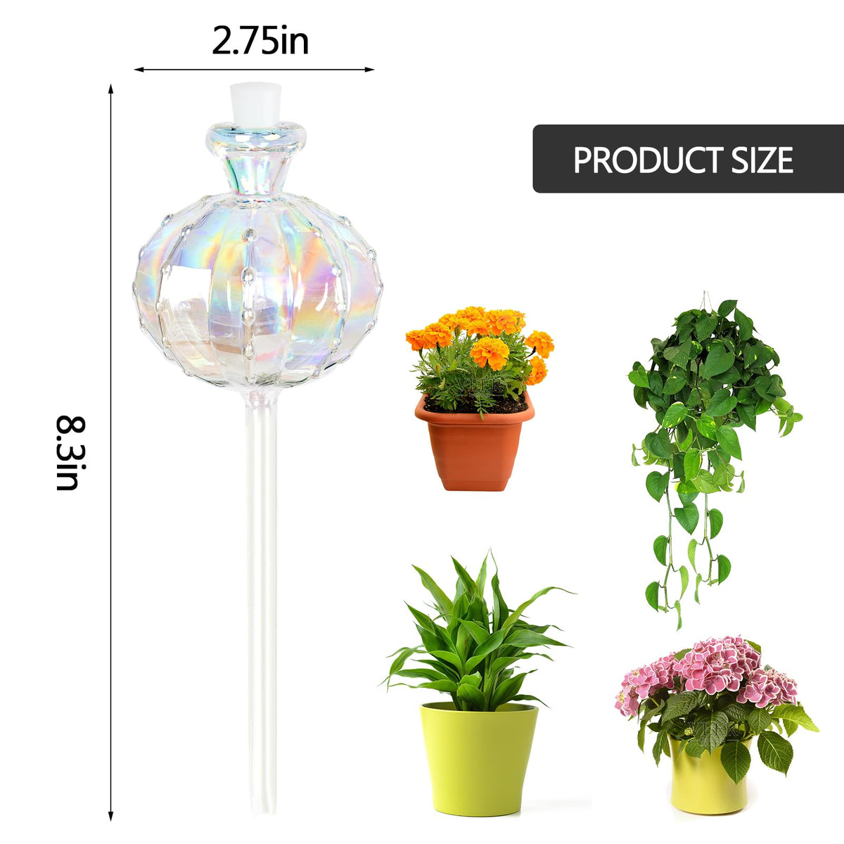 KGCCIZI rainbow cactus watering globes gently regulate moisture for lush containers