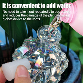 KGCCIZI thick-glass watering bulbs are durable and built to last in home use