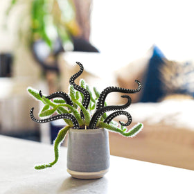 KH866 a unique gift for plant lovers and quirky gardeners