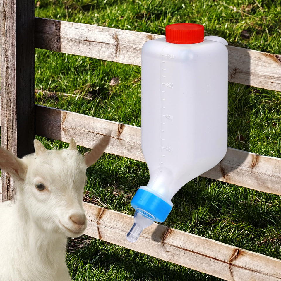 KHEARPSL lamb feeding bottle with hang-up design enables easy barn feeding.