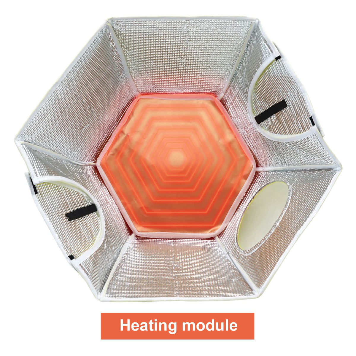KHEARPSL transparent observation window lets you monitor hatchlings without disturbance.