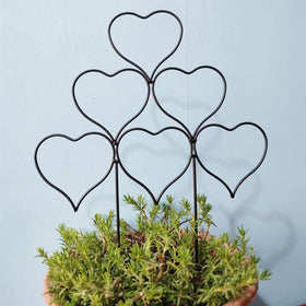 Kichwit garden-trellis stackable design makes smart plant displays easy.