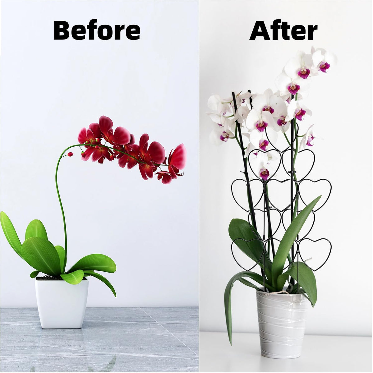 Kichwit indoor-plants trellis provides upright support for vines and small houseplants.