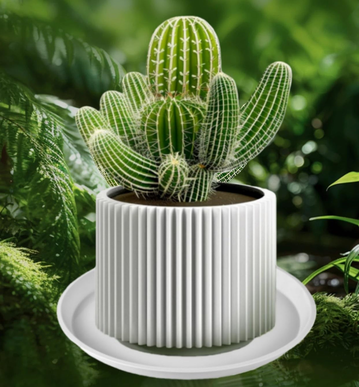 Kichwit durable plastic saucer white sturdy for large pots