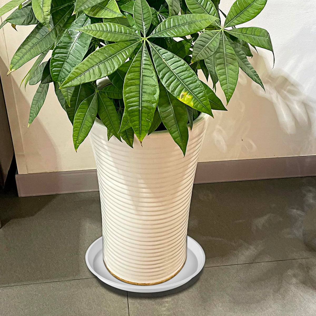 Kichwit round white tray supports plant stability and neat look