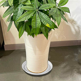 Kichwit round white tray supports plant stability and neat look