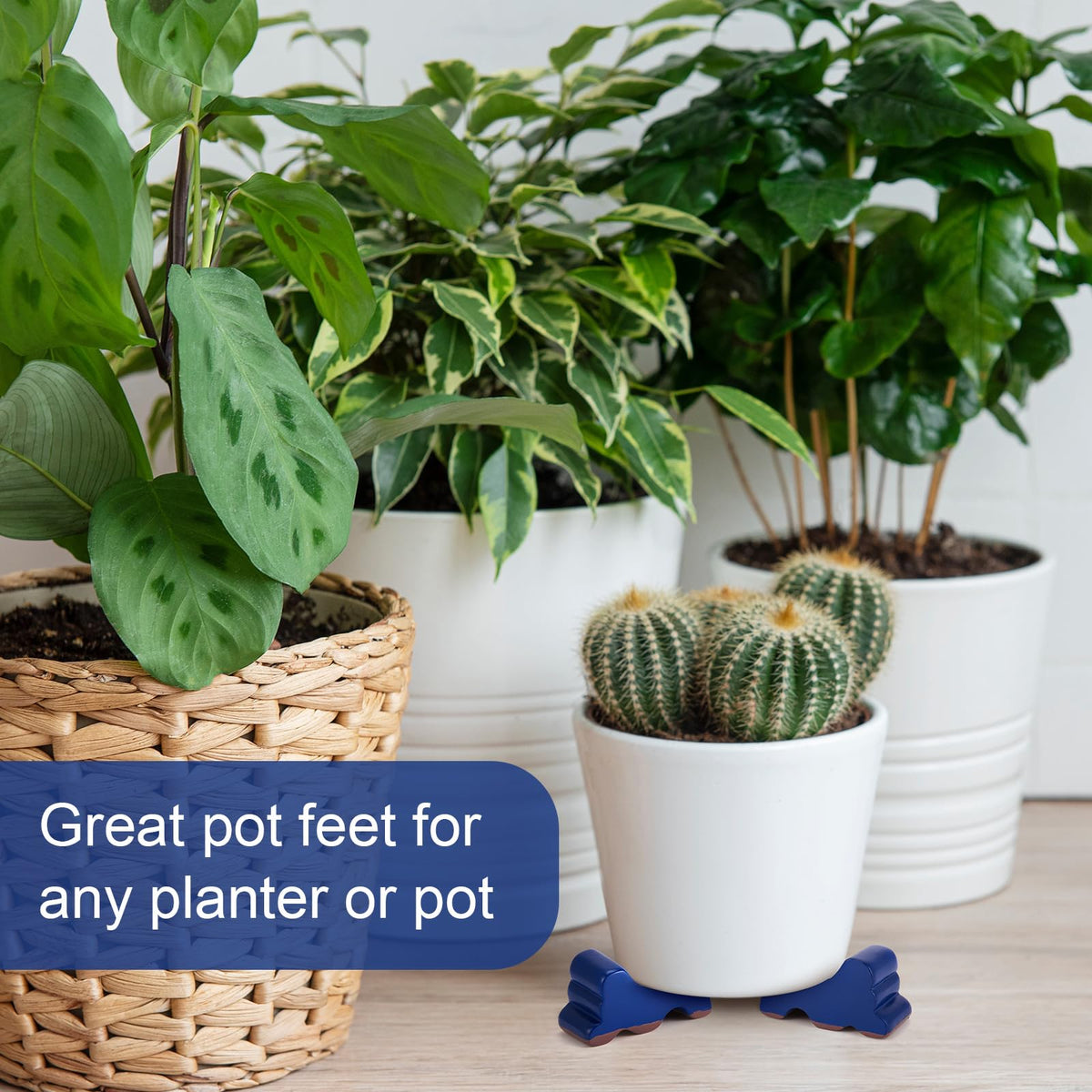 Kigeli decorative resin feet elevate pots with subtle style indoors and outdoors.