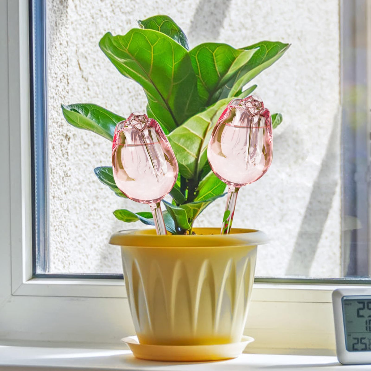 Kigotwin pink glass plant waterer insert keeps indoor and outdoor pots evenly hydrated.